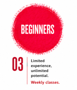 Beginner's class image